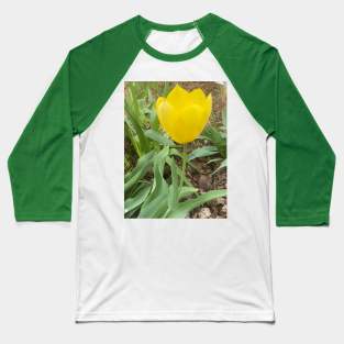 Yellow Tulip Baseball T-Shirt